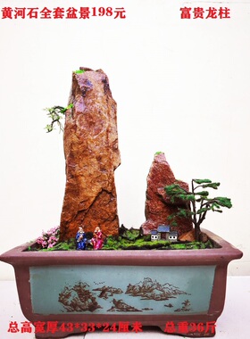 黄河天然原石黄蜡石植物山水盆景