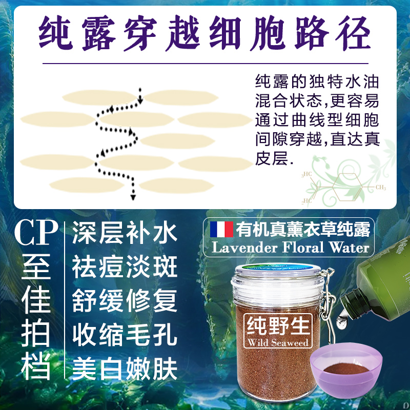 大瓶量贩lifiniti法国有机爽肤水 lifiniti爽肤水