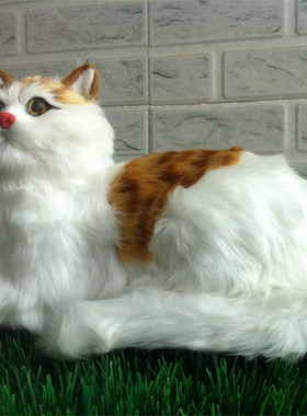 定做仿真动物 仿真猫 卧猫 花猫黄白色 摄影道具 教学模型