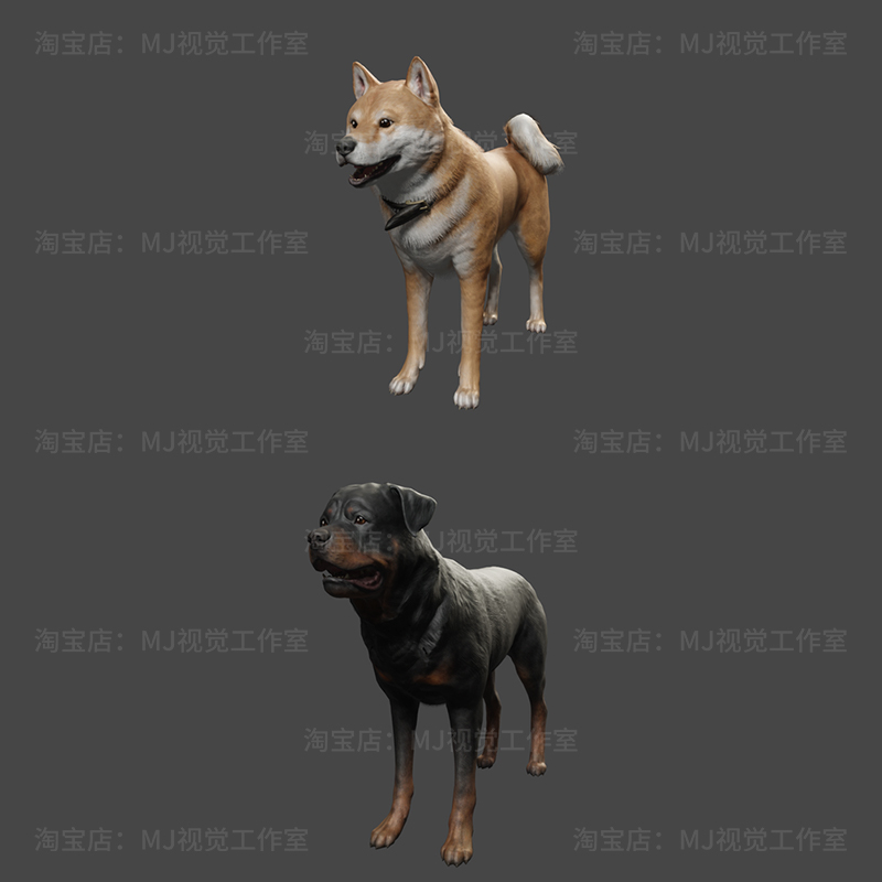 blender小狗绑定骨骼动物柴犬模型建模素材金毛材质边牧毛发1004 - 图1