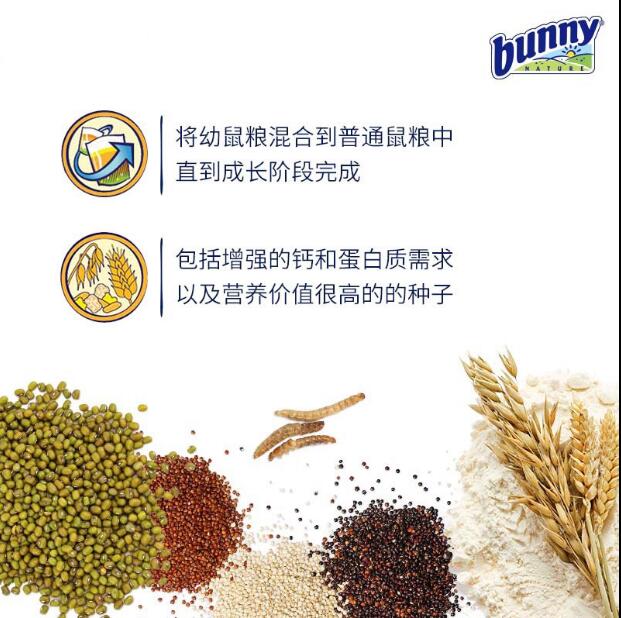 BUNNY邦尼幼鼠发育宝侏儒熊类仓鼠沙鼠花枝鼠专用150g - 图0