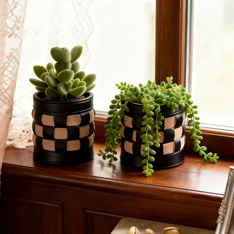 创意仿皮革花盆仙人球多肉绿植物盆栽客厅阳台办公室工位桌面装饰,淘宝优惠券,粉丝福利购,淘宝优惠卷