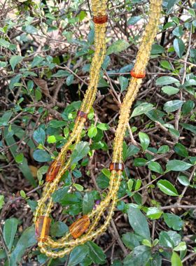 天然蜜蜡琥珀多圈手链项链时尚优雅精致三层毛衣链带证书长度58cm