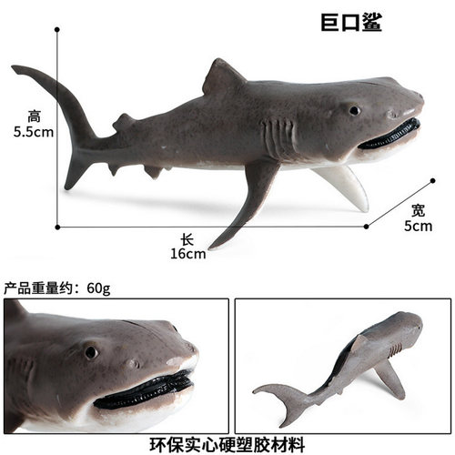 大型鲨鱼滤食性姥鲨蓝鲸鲨巨口鲨弓头鲸儿童认知海洋动物科教玩具 - 图2