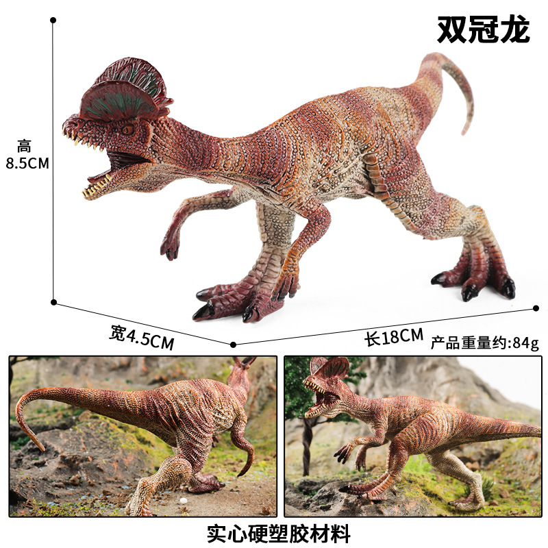 硬塑腔骨龙科恐龙玩具理理恩龙虚形龙冰脊龙冻角龙双冠龙仿真模型-图2