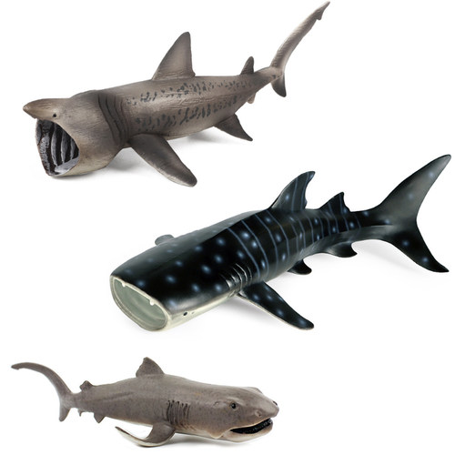 大型鲨鱼滤食性姥鲨蓝鲸鲨巨口鲨弓头鲸儿童认知海洋动物科教玩具 - 图3