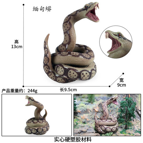 蛇玩具大全爬行动物蟒水蚺蛇蝰蛇海蛇毒蛇儿童认知假蛇静态小摆件 - 图0
