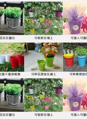 特大号马口铁植物盆栽吊篮花桶
