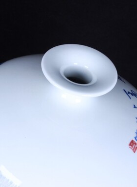 陶瓷工艺品大师手绘青花瓷釉下彩山水荷花梅瓶家居收藏装饰柜摆件