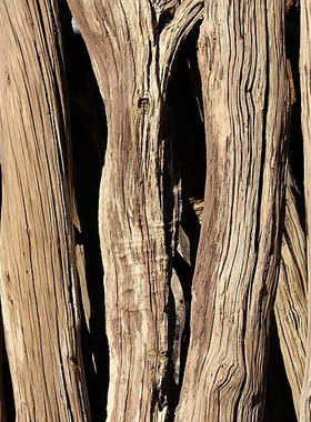 风化庭院树杆店铺装修配件枯木