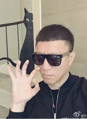 墨镜偏光街拍太阳眼镜孙红雷同款