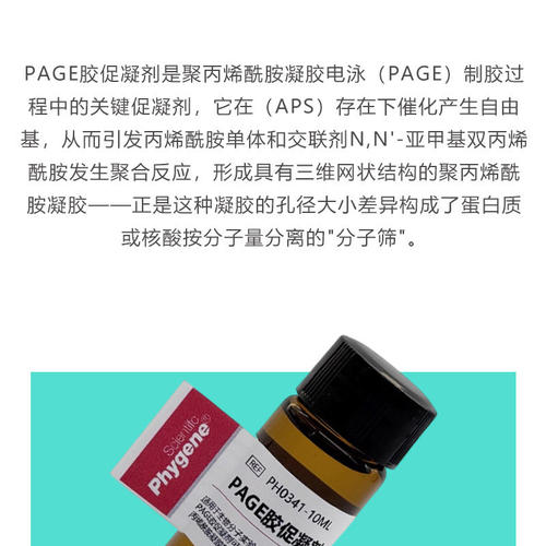 TEMED 10mL PAGE凝胶制备 电泳配胶 Substitute PH0341 PHYGENE - 图0