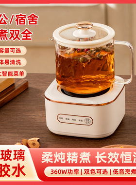 厂家直供 双炉养生杯多功能恒温炖煮一体煮茶器办公室小型养生壶