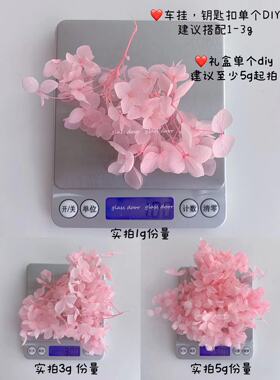 国产小叶安娜1克diy绣球永生花