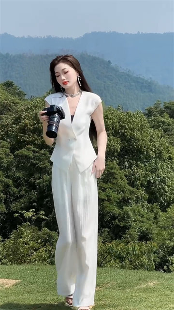 Professional Commuting Suit Vest Wide Leg Pants Fashion suit
