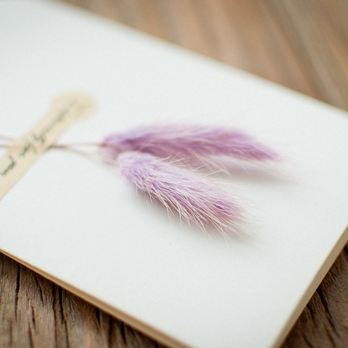 Сухой цветочный материал Сумка наклейка за герметизация подарочная упаковка хвост кролика, полный звезда, подарочная коробка с лавандой, настоящие цветы, украшение