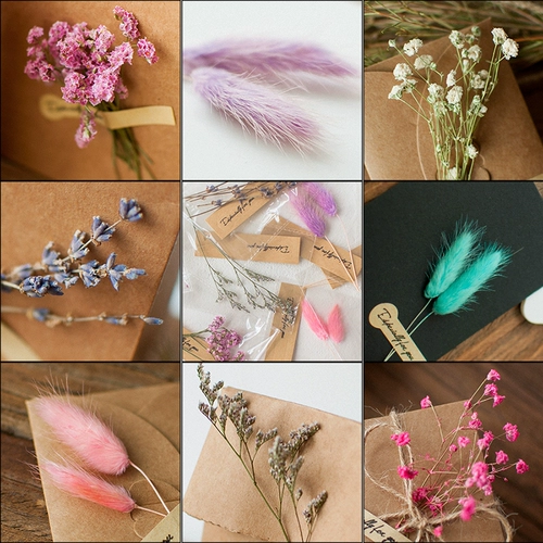 Сухой цветочный материал Сумка наклейка за герметизация подарочная упаковка хвост кролика, полный звезда, подарочная коробка с лавандой, настоящие цветы, украшение