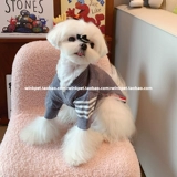 Собака осень и зимний свитер кардиган