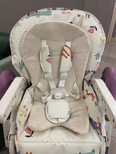 Bei'E贝易餐椅坐垫DODOBABY宝宝椅座垫套棉垫凉席安全带配件适合 - 图3