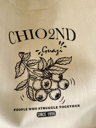 南风Chio2nd 流浪邮件托特包包女大容量春夏设计师帆布包袋单肩包 - 图0