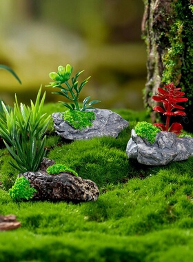 微景观创意盆栽迎客松小盆景