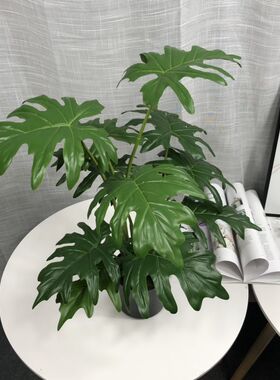 新品上架落地装饰桌面摆放仿真植物盆景绿植盆栽套装龟背叶带盆
