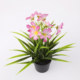 Floral home decorations simulated cherry blossom small potted plants