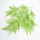 Wall hanging decoration simulated green plant fern plastic rattan