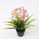Artificial flowers, artificial flowers, potted orchids, living room table decorations