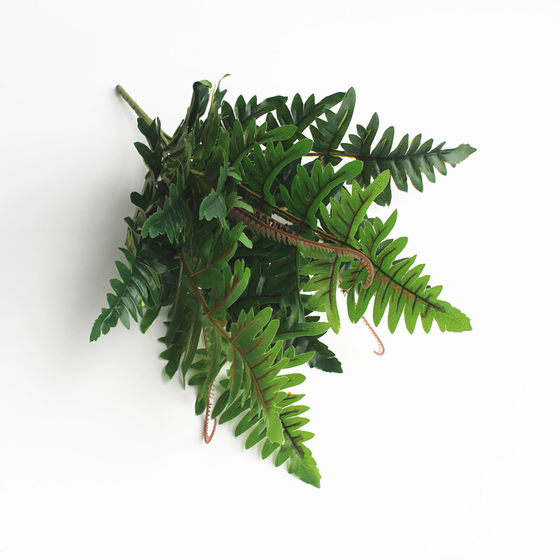 Green plant potted wedding partition flower arrangement fern Persian grass