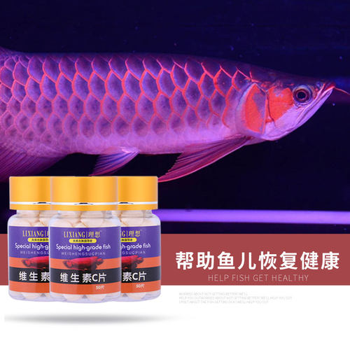 维生素c鱼用非鱼药维C龙鱼水族维他命鱼缸营养液锦鲤鱼水族益生菌 - 图2