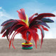 Feather Shuttlecock Competition Special for Children and Adults