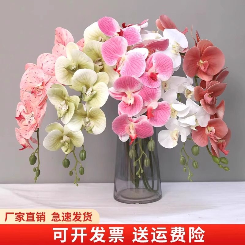 10支装蝴蝶兰仿真花高级感逼真白色婚庆绢花婚礼布置装饰假花摆件,淘宝优惠券,粉丝福利购,淘宝优惠卷