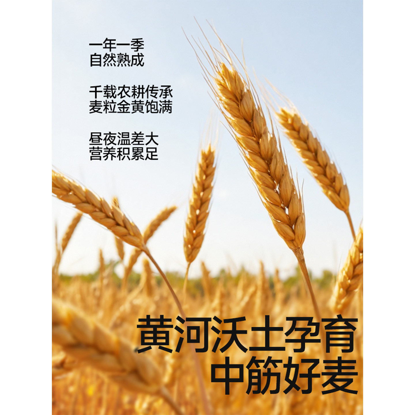 秋田满满宝宝低筋面粉儿童早餐蛋糕面包粉烘焙用面粉无添加食盐,淘宝优惠券,粉丝福利购,淘宝优惠卷