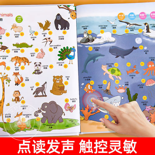 英语启蒙有声书 儿童英语点读发声书幼儿园小学生一年级教材英语单词启蒙有声绘本会说话的英文早教书零基础入门中英双语情景对话 - 图1