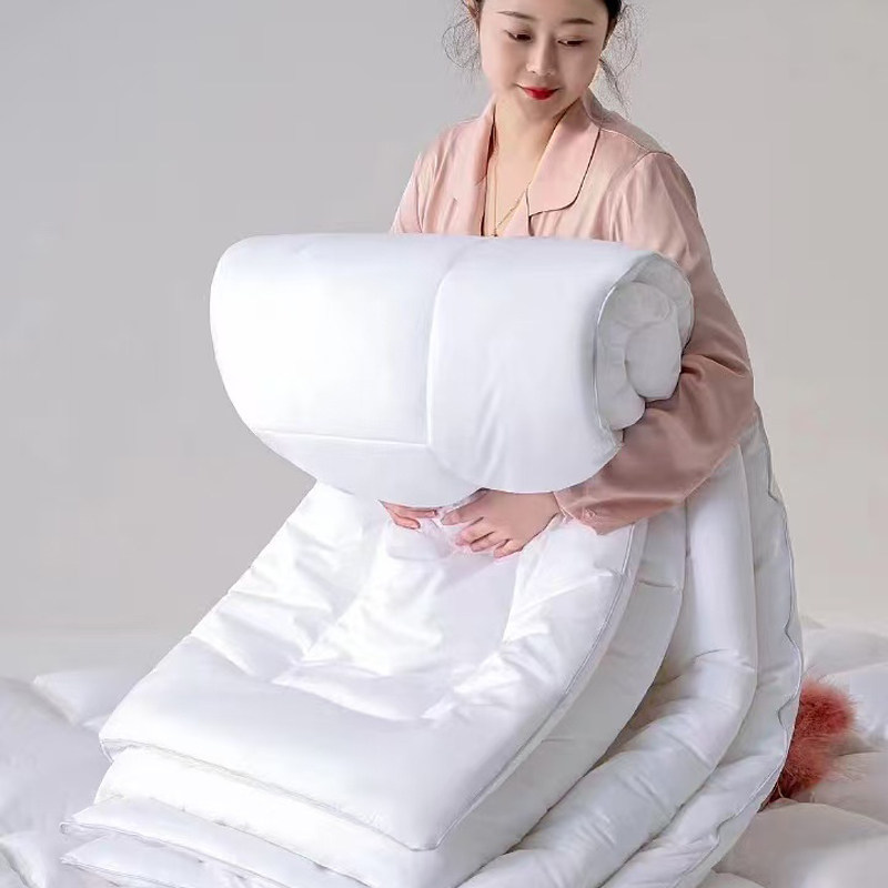 五星级酒店专用加厚纯棉被芯宾馆民宿养老院可水洗被子春秋被冬被,淘宝优惠券,粉丝福利购,淘宝优惠卷