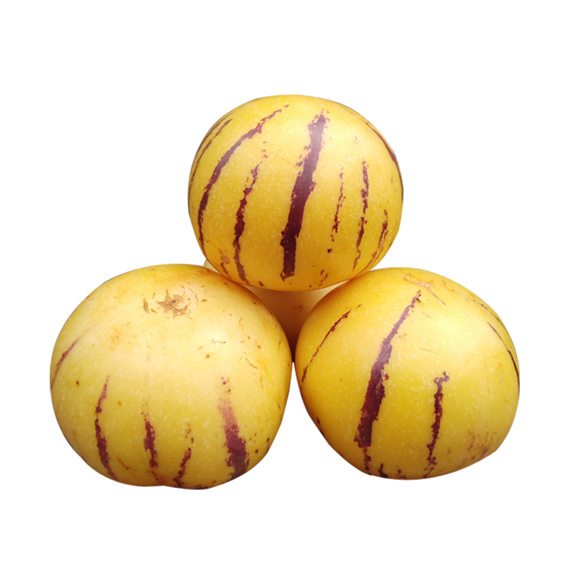 盛果邻  云南石林风化石人参果路花村黄心肉树上熟新鲜水果包邮,淘宝优惠券,粉丝福利购,淘宝优惠卷