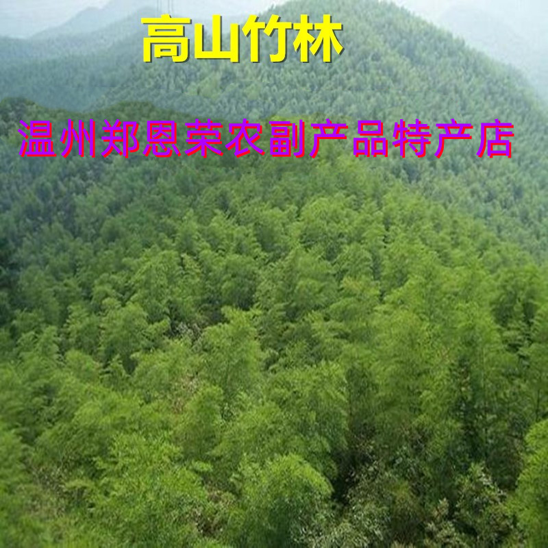 初级农副产品 温州特产永嘉特产高山笋干楠溪江笋片笋干500克包邮 - 图0