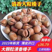 2023 New goods large grain clear scents hazelnut Northeastern special produce opening thin leather original flavor cooked nuts fried stock snacks 500g