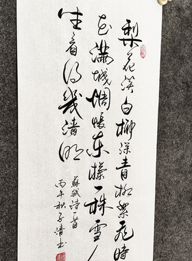 苏轼诗词传统书法字画装裱