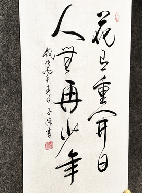花有重开日人无再少年手写书法