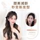 Wig Braid Clip Double Ponytail Elf Ears