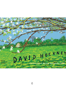 大卫霍克尼David Hockney 风景田野花卉油画布打印自粘画画心装饰