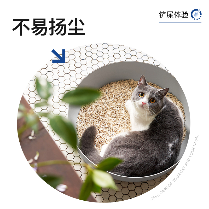 【爆款猫砂】LORDE里兜豆腐膨润土混合猫砂10kg除臭易结团低粉尘 - 图1