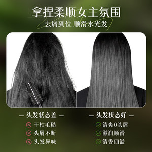安安金纯橄榄油洗发水女去屑控油香味持久柔顺学生蓬松洗发露正品