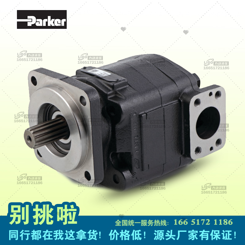 Parker派克液压高压齿轮泵7029111079 PGP620A0360CD1H3NE8E6B1B1 - 图0