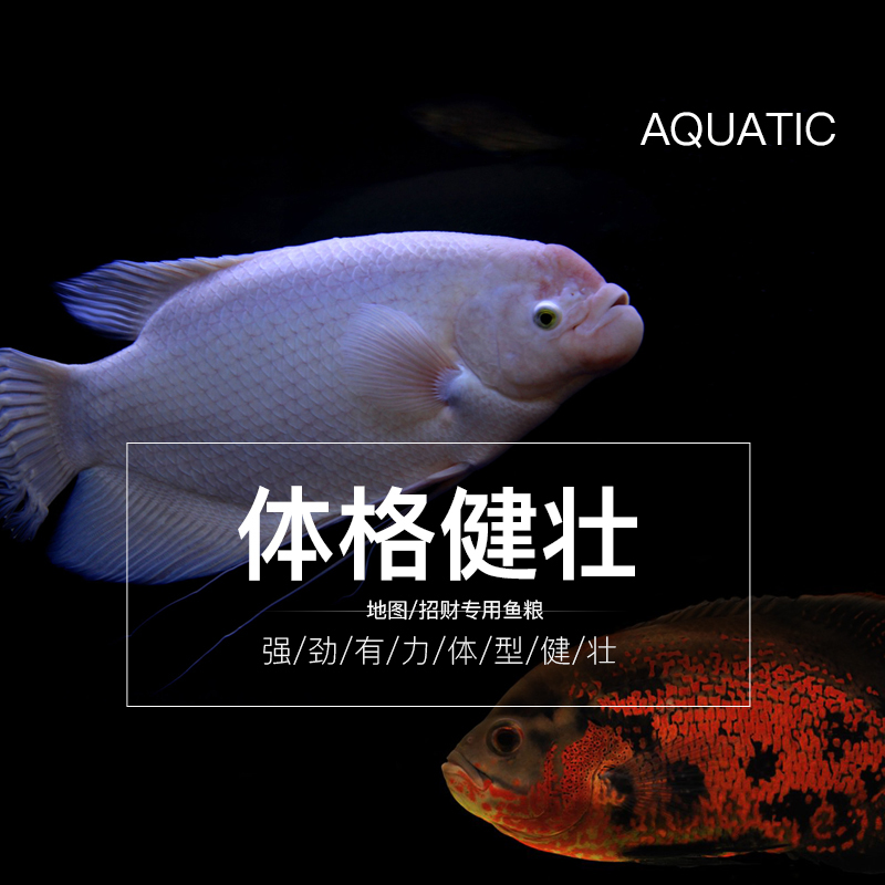 开水族馆的生物男 招财鱼饲料地图鱼鱼粮鱼食小颗粒热带鱼战船鱼 - 图0