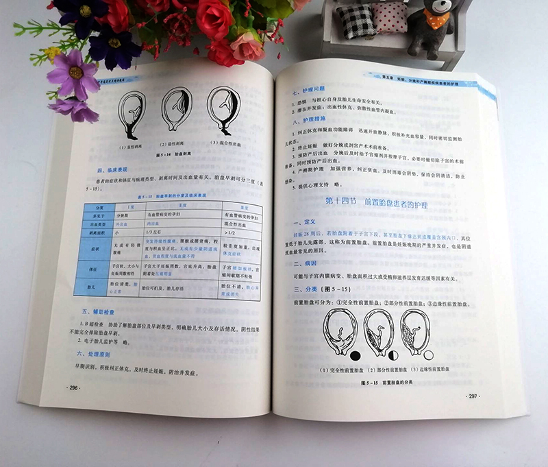 护士执业资格考试护考考点精讲教程全国护士资格李小妹护士执业资格考试辅导书复习习题集题库护士护理护考资料医学书籍