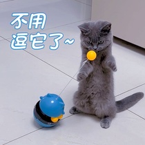 Cat Toy Ball Self-Hi-Tumbler Tease Tumbler Cat Turntable Kitten Cat Turntable Kitten kitty Cat Cat Consuming Physical supplies