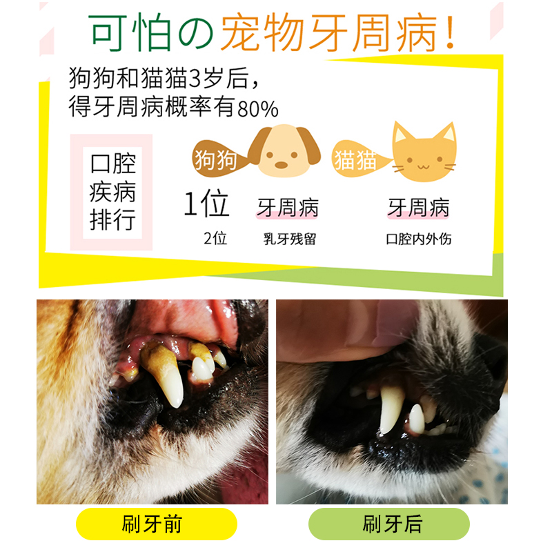 狮王牙刷牙膏套装宠物狗狗猫咪可食用除口臭去牙结石神器清洁用品 - 图0